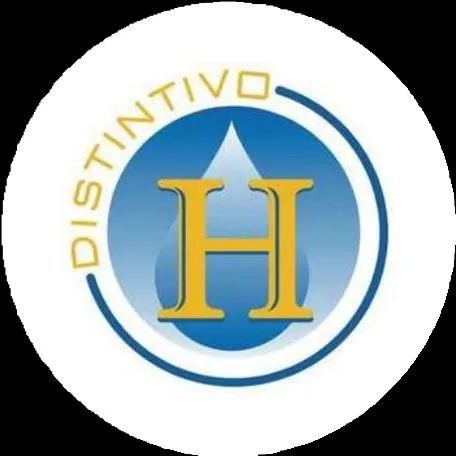 Distintivo H
